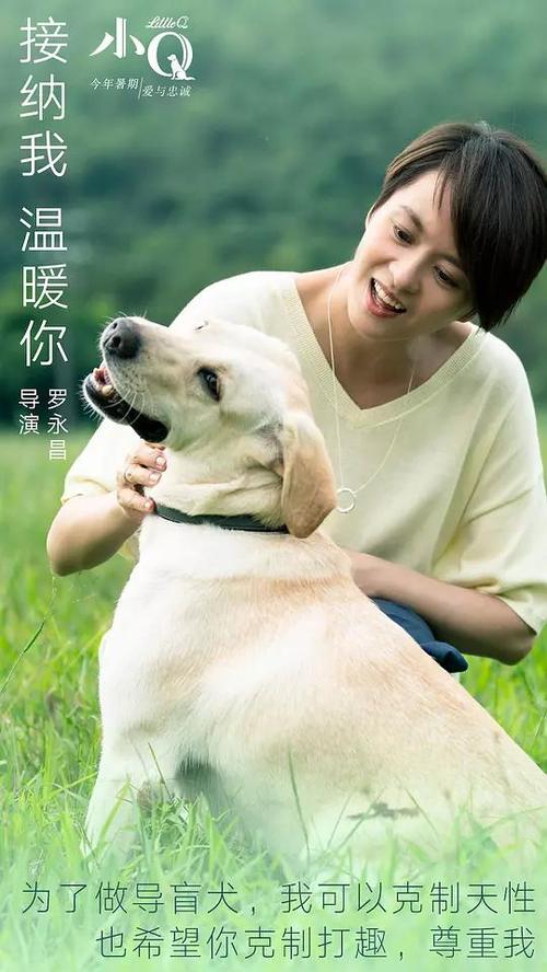 毕业证证怎么做